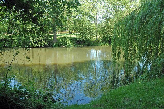A calm river with overhanging branches, surrounded by lush greenery.