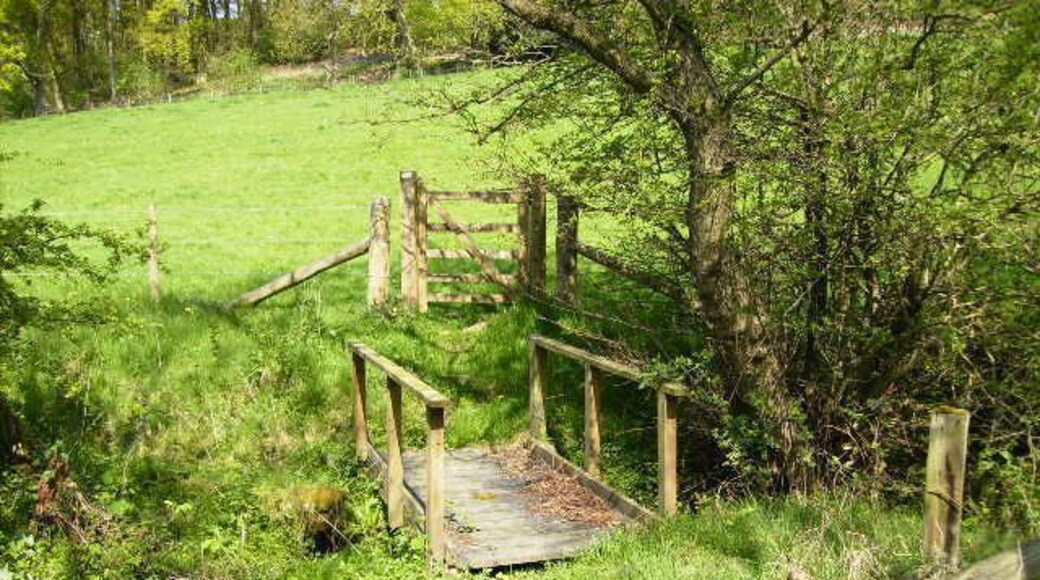 Footbridge on public right of way near Swathgill