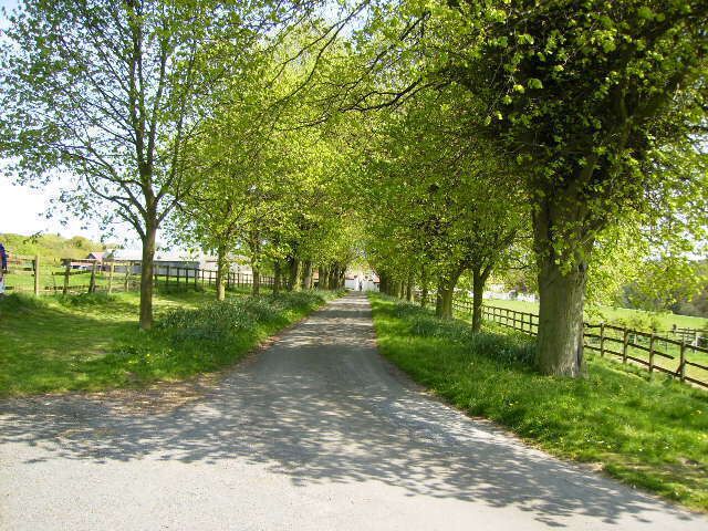 Drive and public right of way to Potter Hill Farm