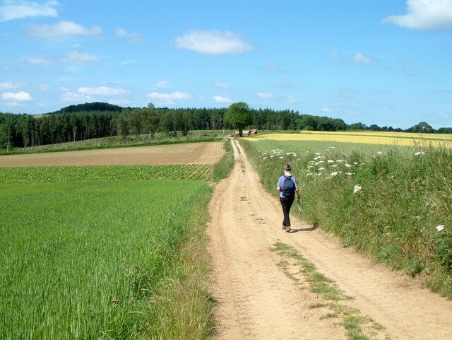 Near Scackleton Grange. The track leading to the Great Plantation.