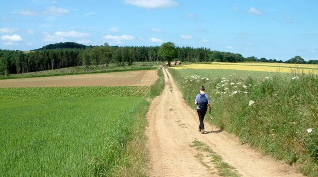 Near Scackleton Grange. The track leading to the Great Plantation.