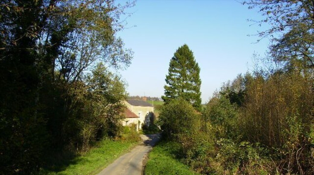Lane dropping down to Coulton Mill