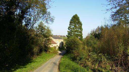 Lane dropping down to Coulton Mill