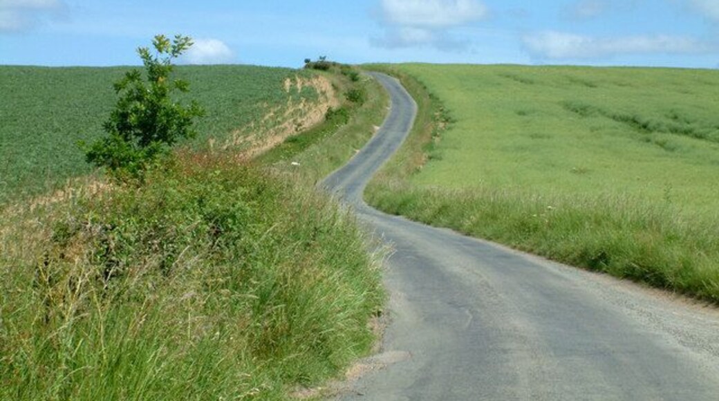 The country lane between Skewsby and Whenby.