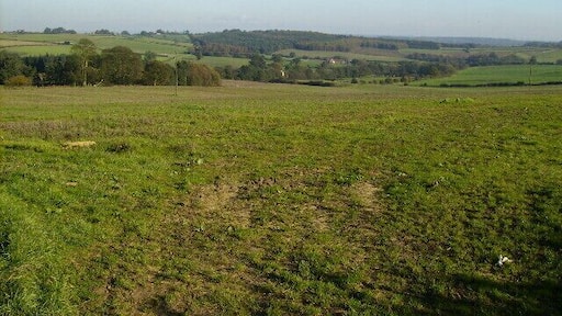 View to Great Plantation and Dalby Bush Farm