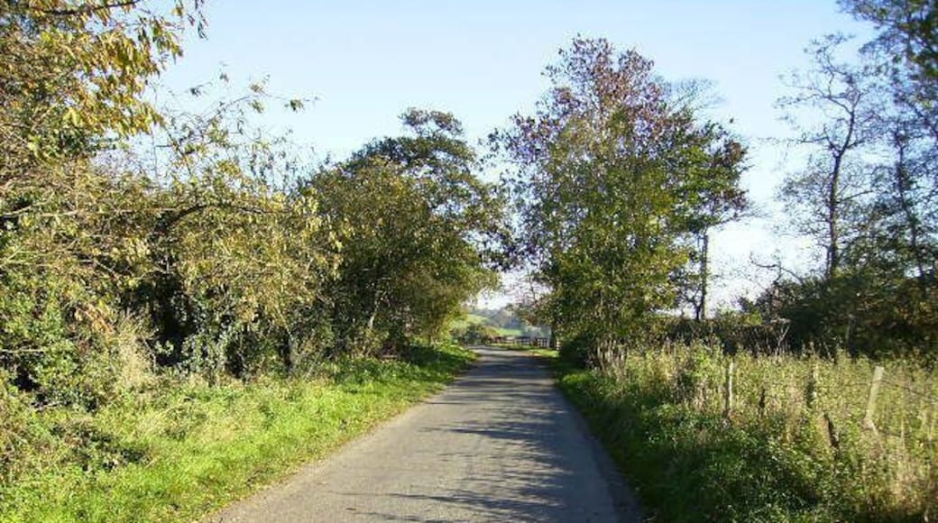 The country lane that runs through Dalby