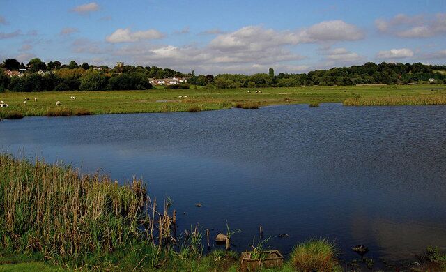 Wombwell Ings. Flood plain now with permanent lake, a haven for wildlife.