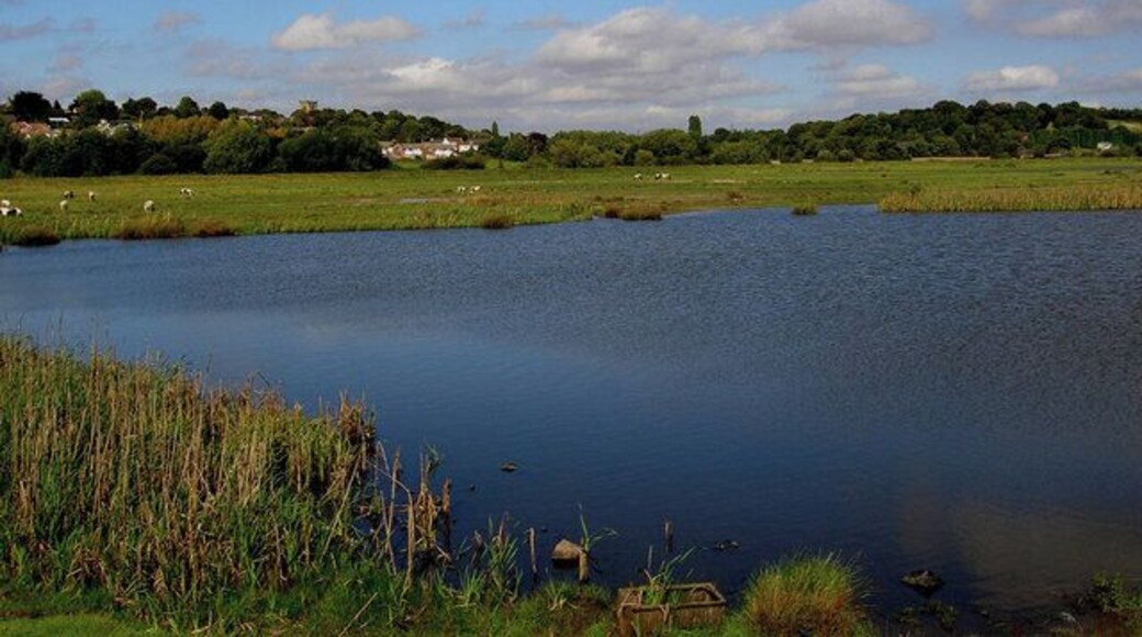 Wombwell Ings. Flood plain now with permanent lake, a haven for wildlife.