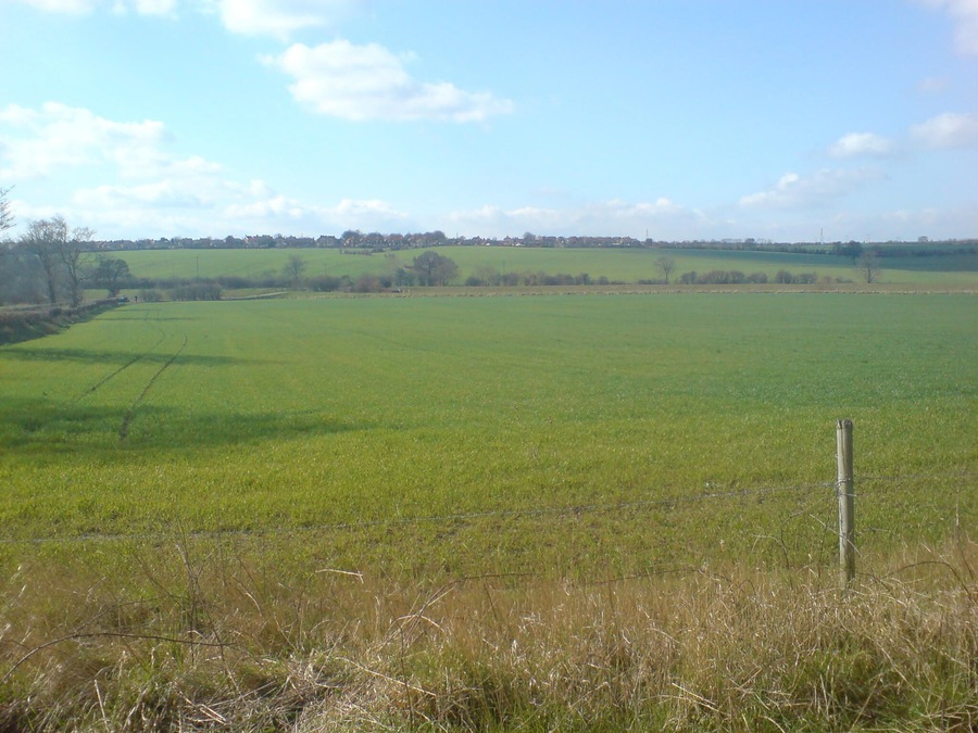 DARFIELD FIELDS