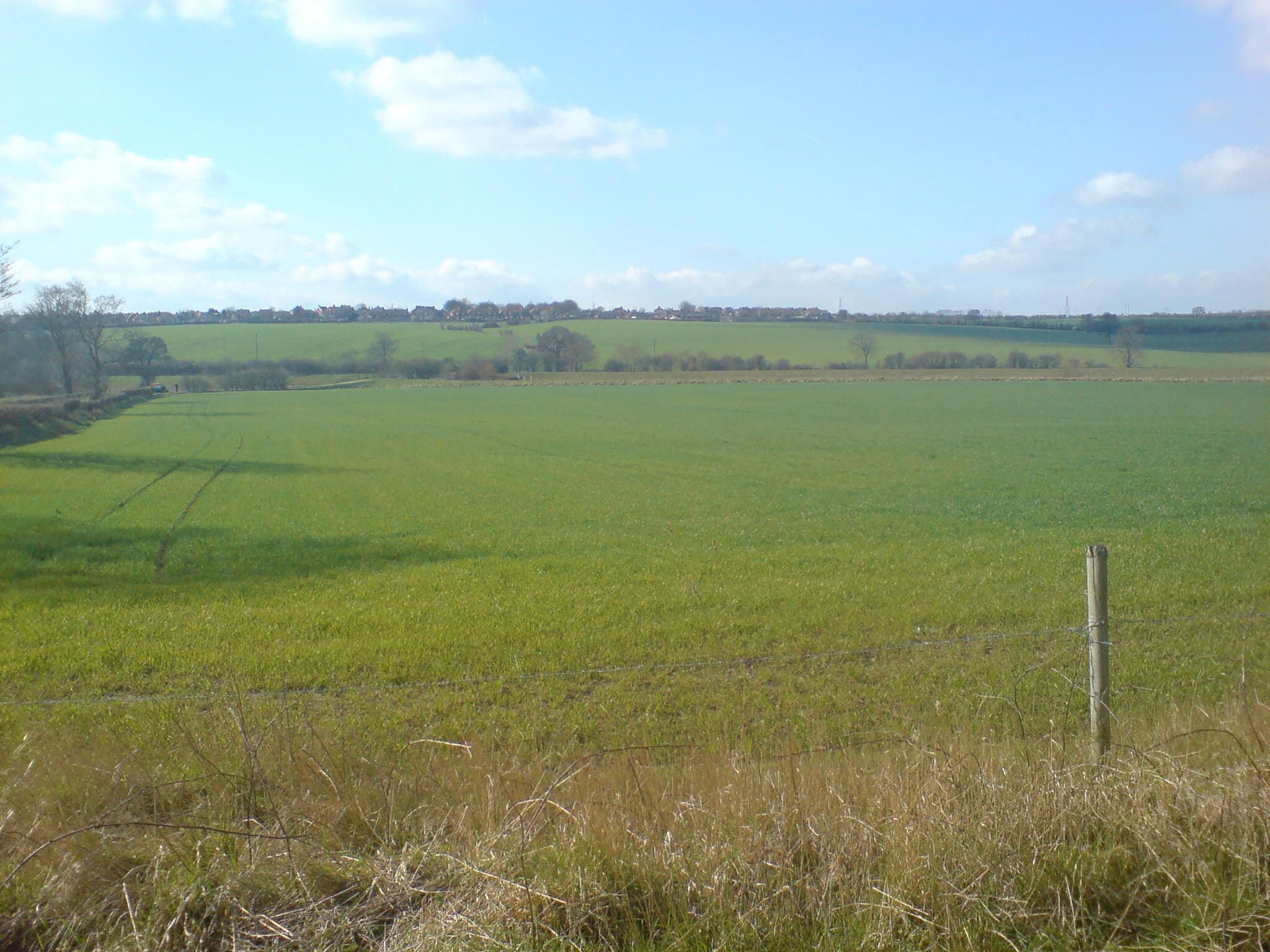 A vast green field with a fence in the foreground and a distant tree line under a clear sky.