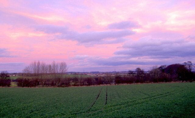 Sunset reflected over Middlecliffe The hedge in the middle defines the line of the bridleway to Little Houghton.