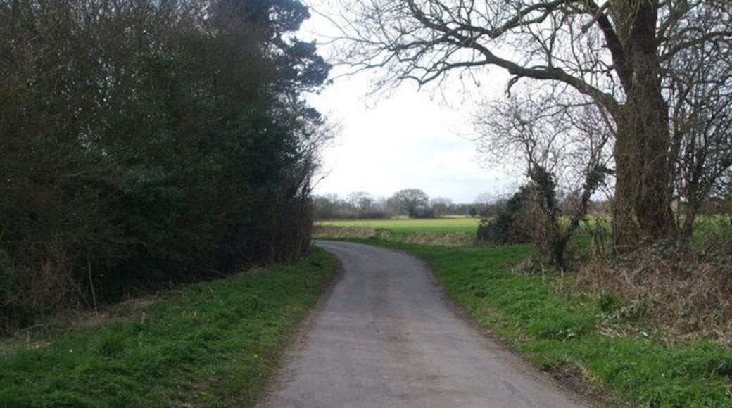 Hales Lane to Drax Hales