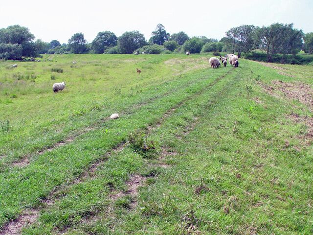 Embankment footpath by the Pocklington Canal, East Cottingwith, East Riding of Yorkshire, England. Looking roughly south. The canal is on the west side of the embankment.
