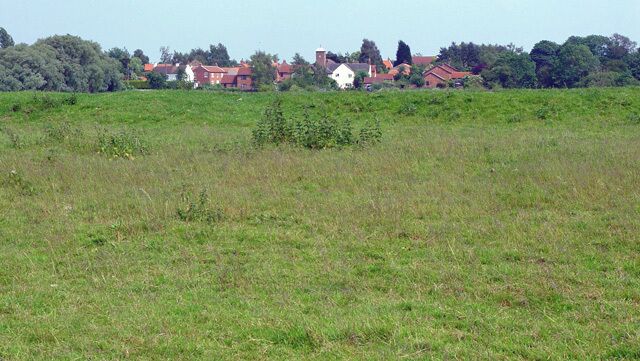 A grassy field with scattered bushes and a few houses in the background.