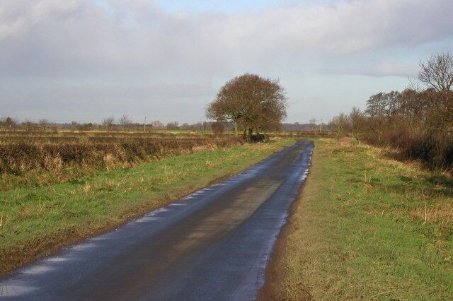 Minor road to East Cottingwith, East Riding of Yorkshire, England.