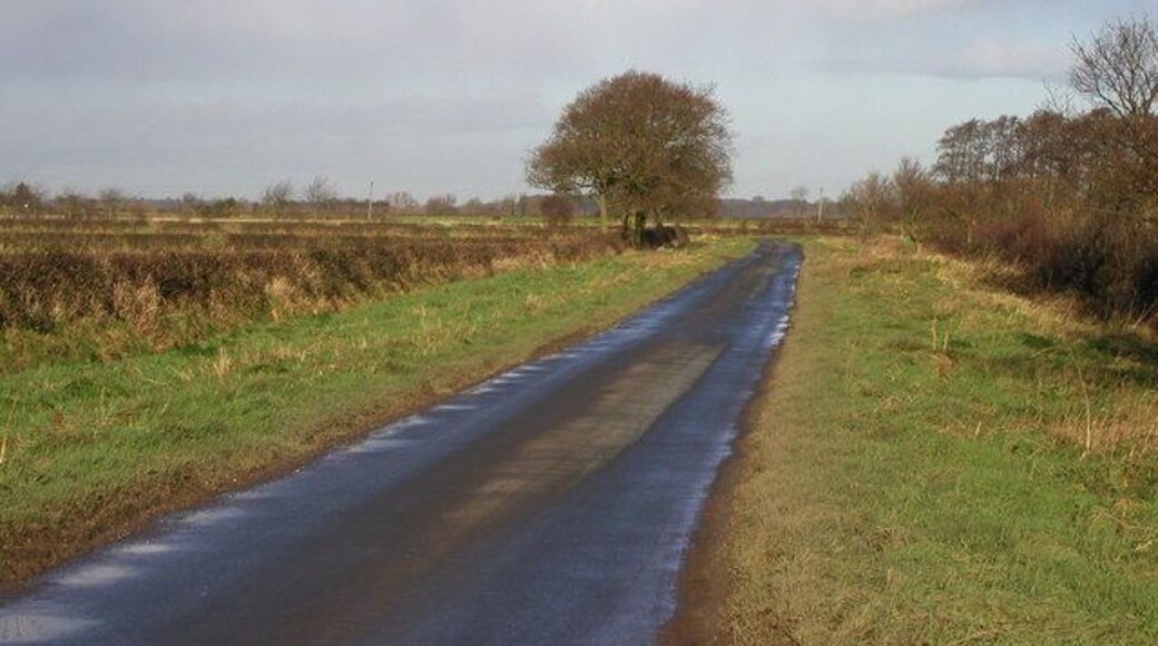 Minor road to East Cottingwith, East Riding of Yorkshire, England.