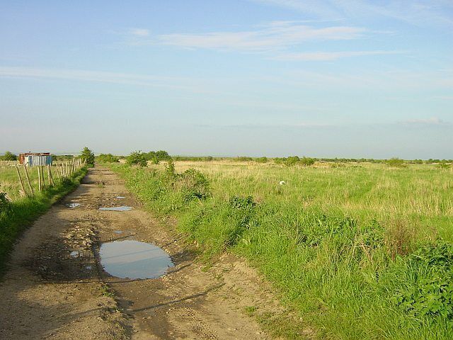 Track to Elmley Ferry. This runs more or less north across the square next to the Little Murston Nature Reserve.