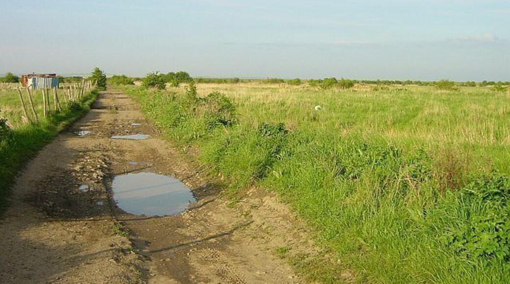 Track to Elmley Ferry. This runs more or less north across the square next to the Little Murston Nature Reserve.