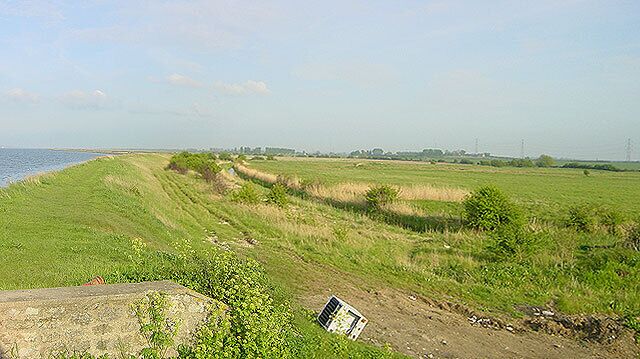 A coastal landscape with a grassy field, a body of water, and a distant city skyline.