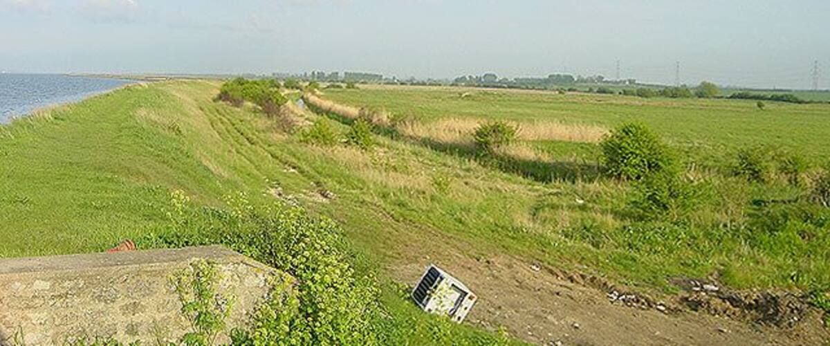 A coastal landscape with a grassy field, a body of water, and a distant city skyline.