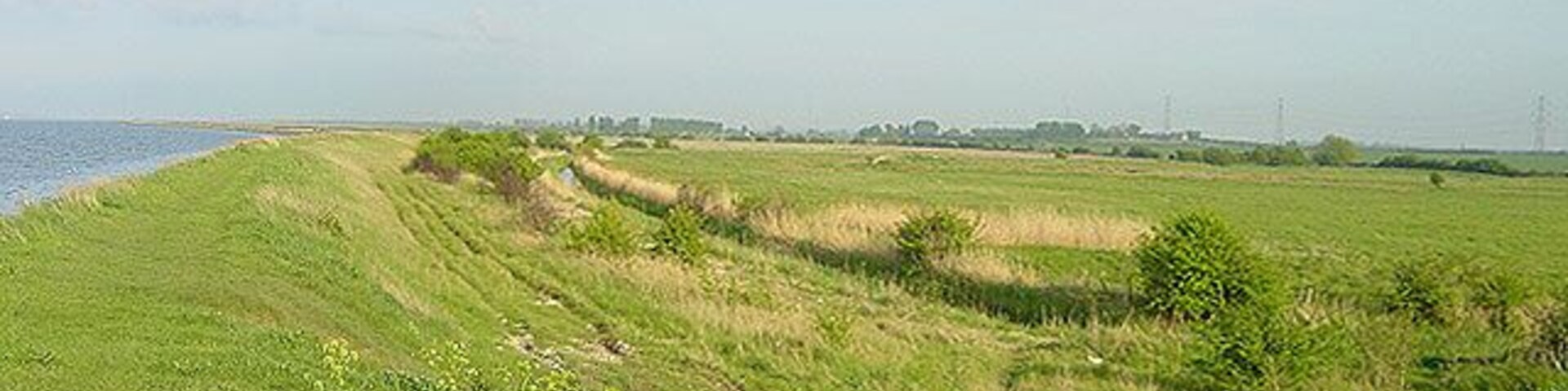 A coastal landscape with a grassy field, a body of water, and a distant city skyline.