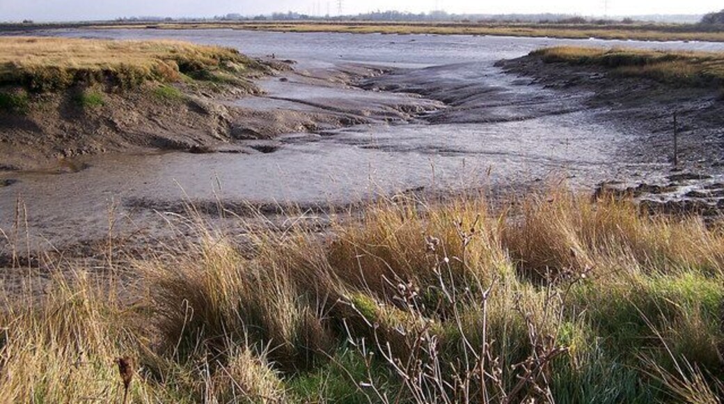 Milton Creek Looking south from just beyond Kemsley Down station (Sittingbourne and Kemsley Light Railway).