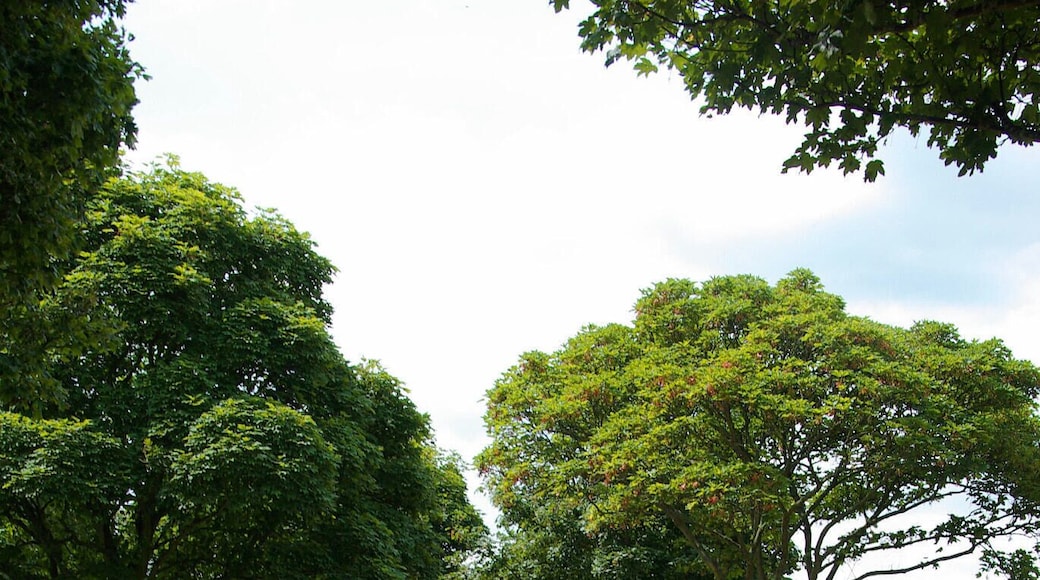 เวนท์เวิร์ธ