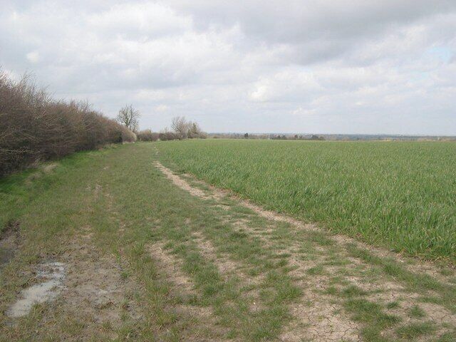 Footpath and field boundary This is true Cambridgeshire.