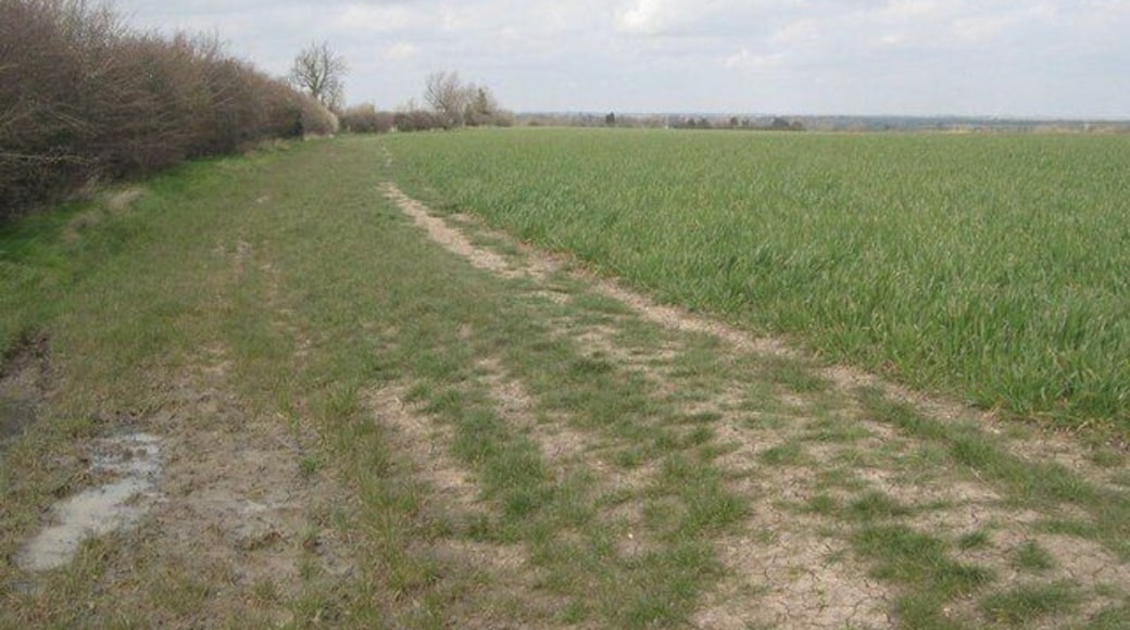 Footpath and field boundary This is true Cambridgeshire.