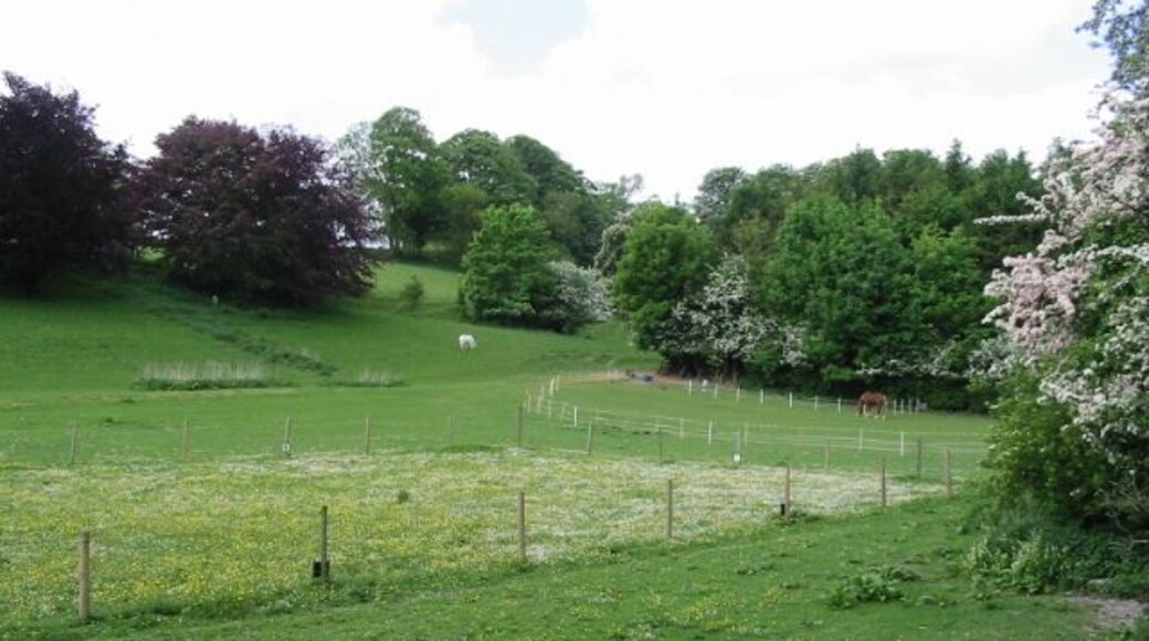 Paddocks near Little Watersend