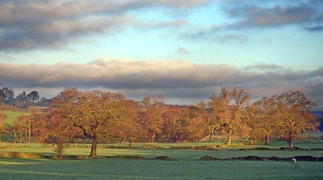 Fields alongside Fenay Beck Early morning sunrise in winter.