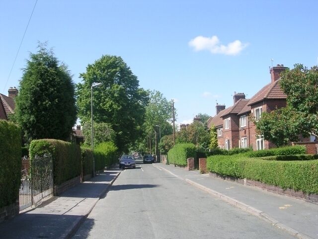 A quiet suburban street lined with houses and hedges.