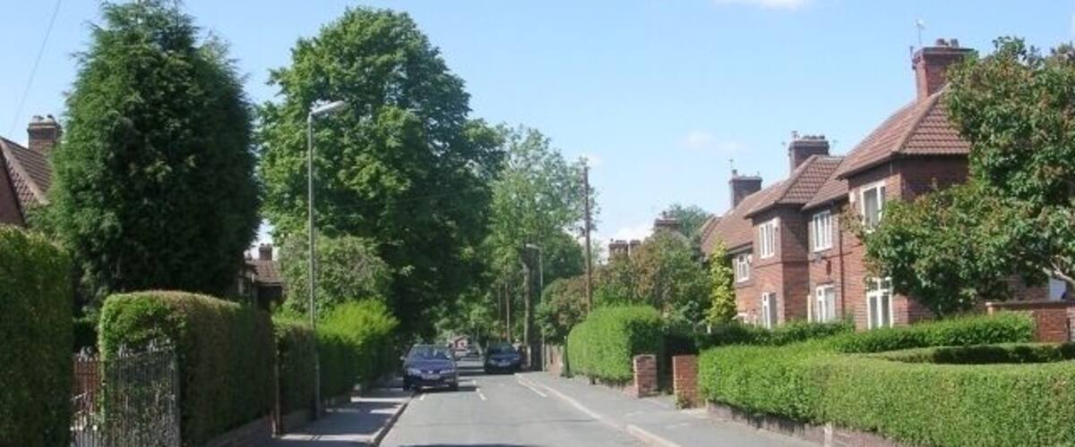 A quiet suburban street lined with houses and hedges.
