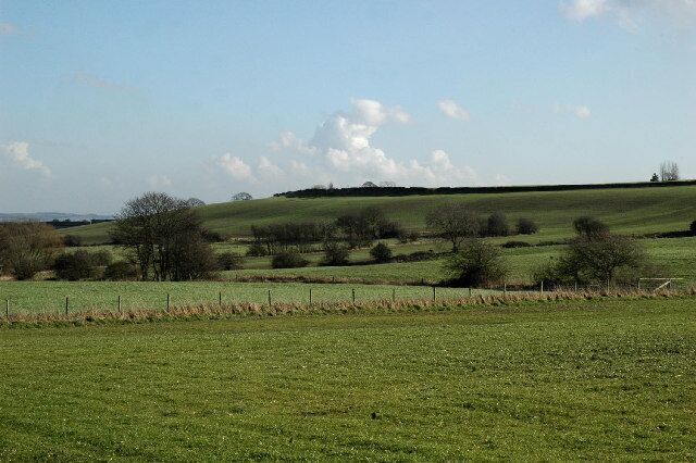 Flockton Moor in the winter sunshine. Gently sloping grassland south of Long Lane.