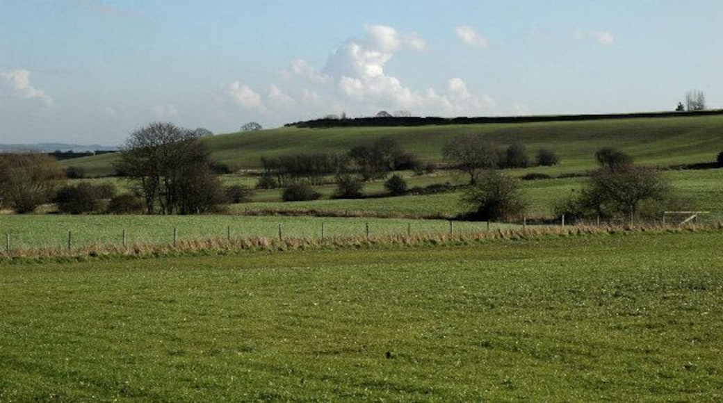 Flockton Moor in the winter sunshine. Gently sloping grassland south of Long Lane.