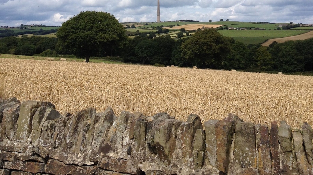 A view of Emley Moor Mast, a transmitting station and one of the tallest freestanding structures in the UK.
For those who live near there, the landscape wouldn't be the same without it.