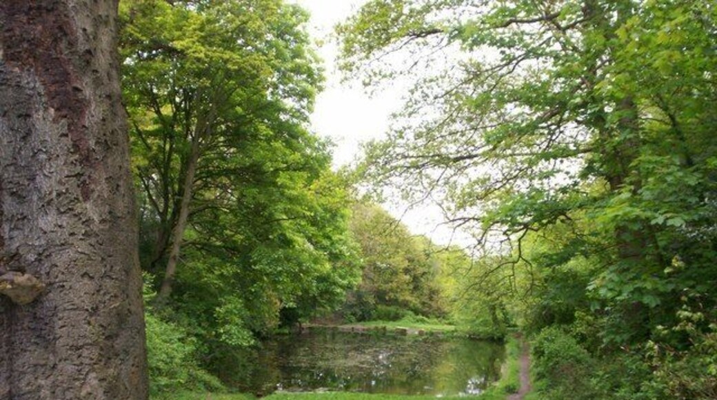 Birley Spa Boating Lake This boating and fishing lake was an early twentieth century addition to the Victorian Bath House and it is fed from an underground spring beneath the building.