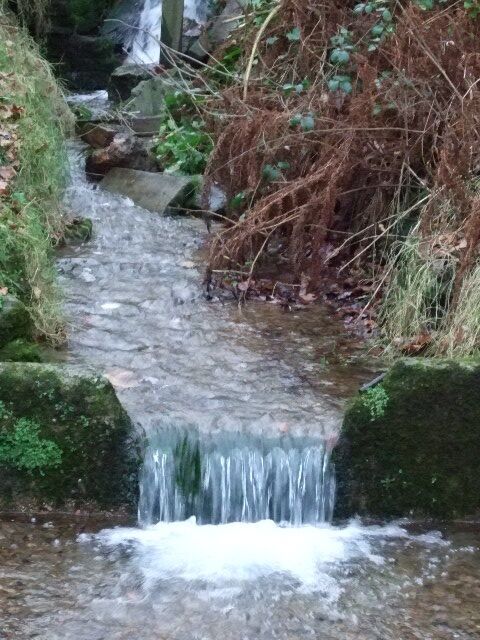 Birley Spa The waters as they come out of the spa house, it didn't taste particularly nice.