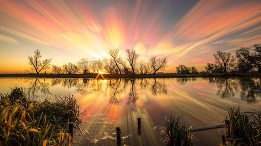 Ein Sonnenuntergang über einem ruhigen See mit Spiegelungen von Bäumen und einem Steg.