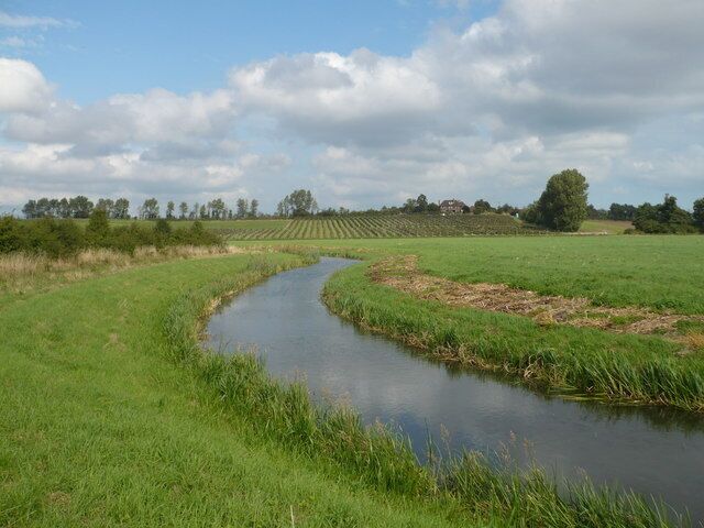 Looking towards Sandbanks from the side of a ditch in Goodnestone
