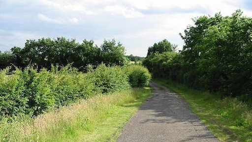 Private road leading to caravan park, Bullockstone