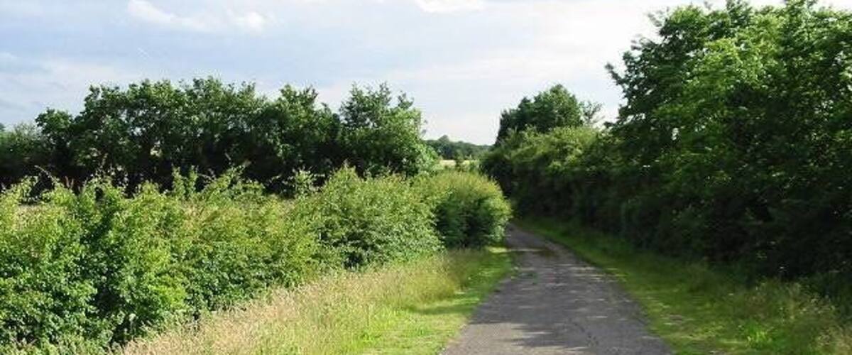 A narrow rural road flanked by dense vegetation and trees.