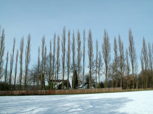 A Popular Place Looking to Haigh Lane from the Dearne Way footpath. The house in the pic is on the Lane.