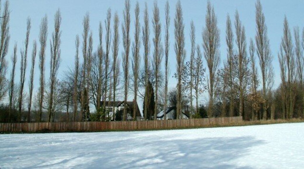 A Popular Place Looking to Haigh Lane from the Dearne Way footpath. The house in the pic is on the Lane.