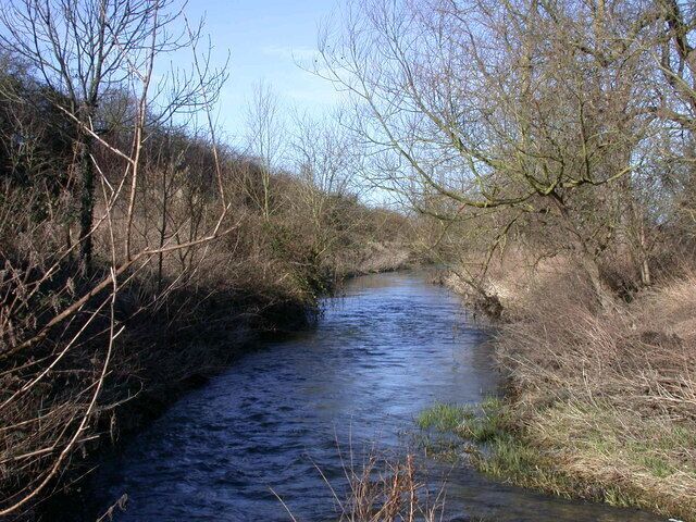 Un río serpenteante que atraviesa un área boscosa con árboles desprovistos de hojas y maleza densa.