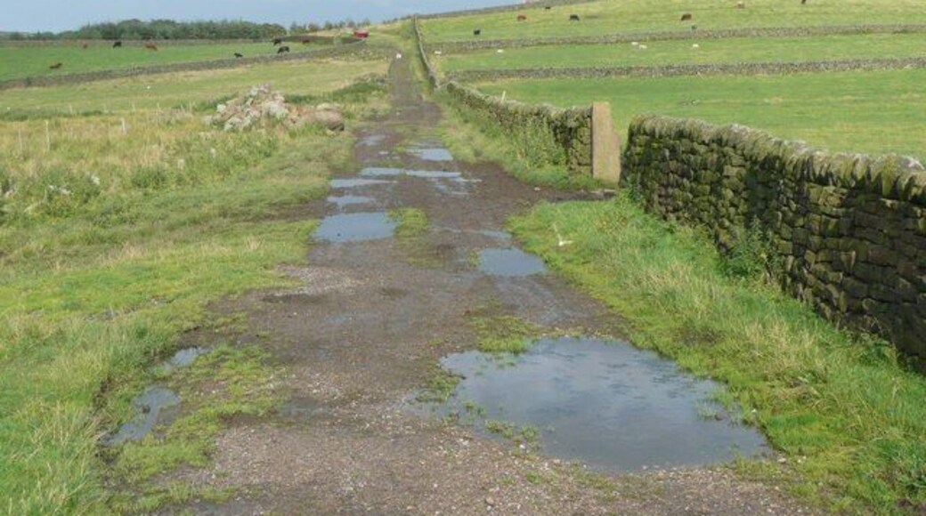 Bridleway off the A616, Dunford Leading to Hazelhead Hall via a bridge over the River Don. Presumably also to the Trans-Pennine Trail.