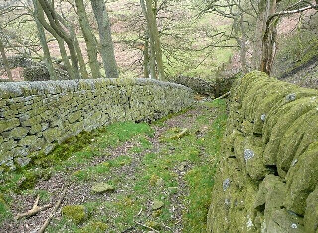 Sheep's highway near Wogden Dike, Dunford Not a footpath (this image was taken by leaning over the wall), but a walled track from a field to a sheep fold.