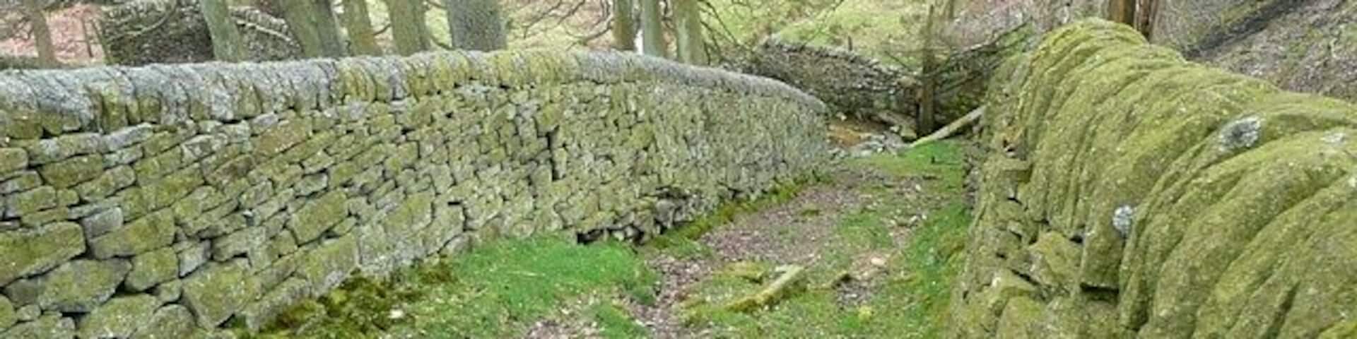Sheep's highway near Wogden Dike, Dunford Not a footpath (this image was taken by leaning over the wall), but a walled track from a field to a sheep fold.