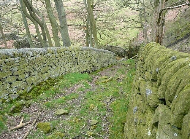 A stone wall with moss-covered stones and a grassy path.