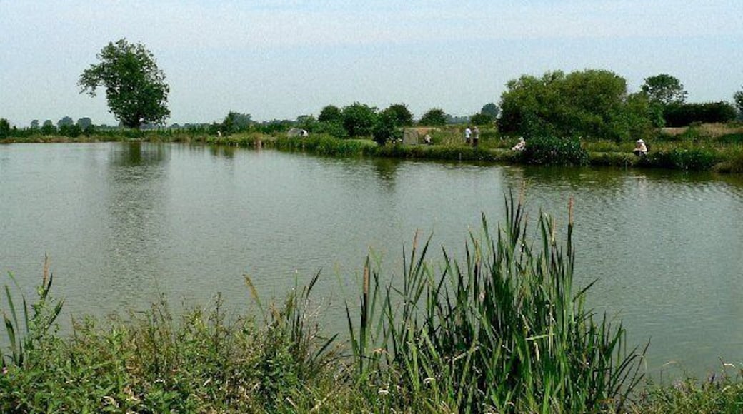 Newhay Lakes. With the River Ouse only a few yards away, why don't people fish in that?